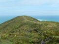 DSCN2313.JPG
