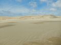 DSCN2346.JPG