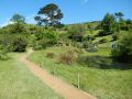 DSCN2533.JPG